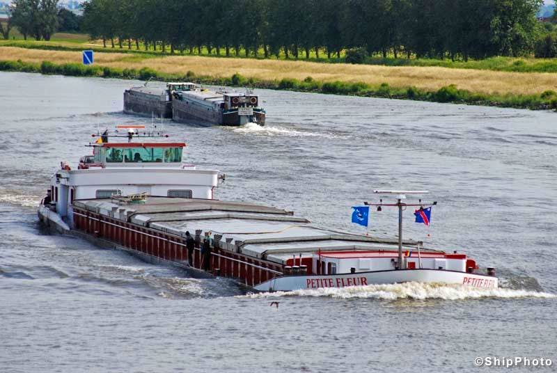 Petite Fleur — thumbnail 2